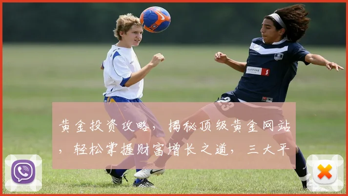 黄金投资攻略，揭秘顶级黄金网站，轻松掌握财富增长之道，三大平台不容错过