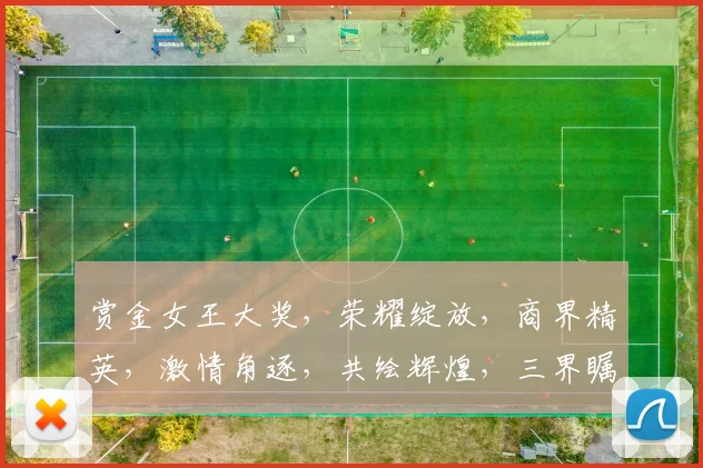 赏金女王大奖，荣耀绽放，商界精英，激情角逐，共绘辉煌，三界瞩目
