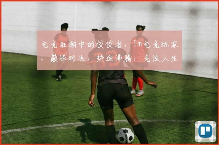 电竞狂潮中的佼佼者，im电竞玩家，巅峰对决，热血沸腾，竞技人生
